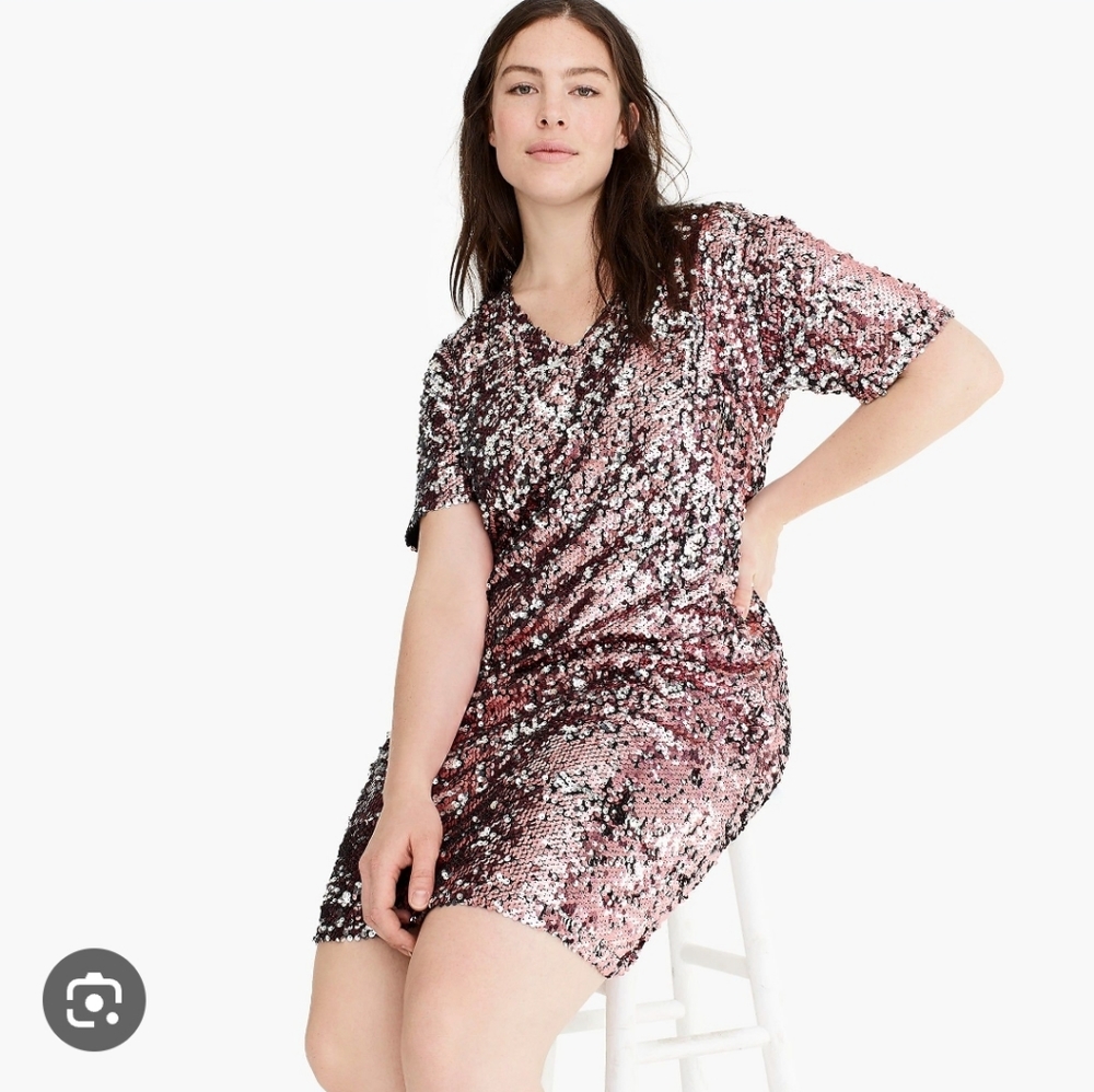 J Crew Universal Standard pink sequin dress